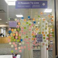 A picture of the Reason To Live Installation at the Broomfield Library